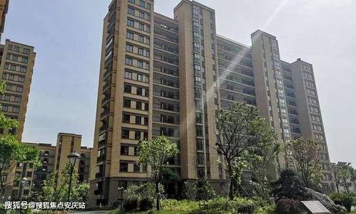 东郊惠泽园最新施工爆料,全新面貌即将呈现  第2张